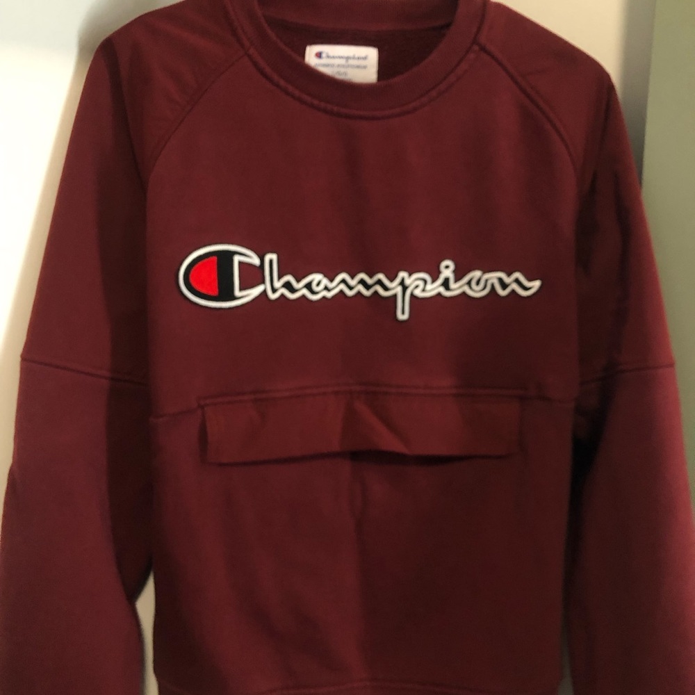 Champion sweater